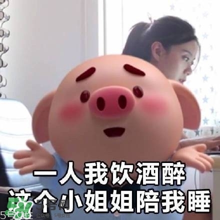 豬小屁多少錢一個？豬小屁哪里可以買到