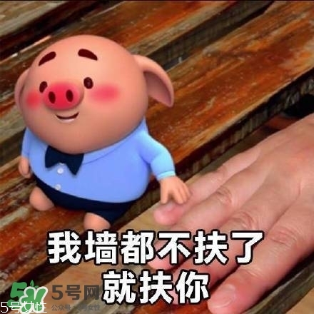 豬小屁多少錢一個？豬小屁哪里可以買到
