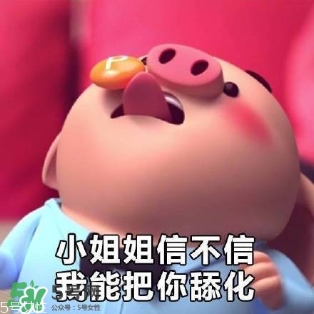 豬小屁多少錢一個？豬小屁哪里可以買到