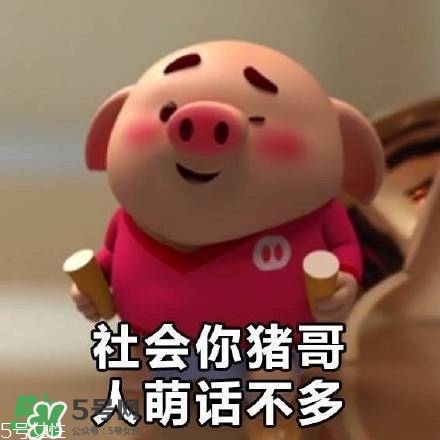 豬小屁多少錢一個？豬小屁哪里可以買到