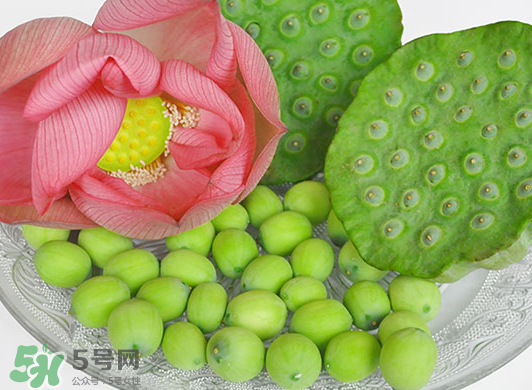 蓮蓬是水果嗎？蓮蓬是水果還是蔬菜？