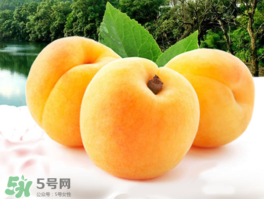 黃桃是酸性還是堿性？黃桃罐頭是酸性還是堿性？