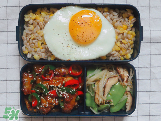夏天用保溫盒帶飯會(huì)壞嗎？夏天能用保溫盒帶飯嗎？