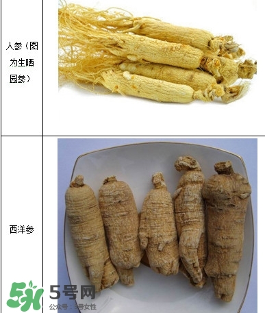 西洋參怎么吃效果最好？西洋參與人參的區(qū)別
