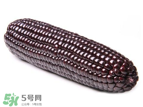 紫玉米會掉色嗎？紫玉米怎么會掉色？