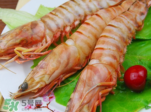 活的斑節(jié)蝦多少錢一斤？野生斑節(jié)蝦多少錢一斤