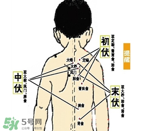三九灸和三伏灸有什么區(qū)別？做完三伏灸要注意什么？