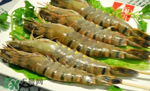 斑節(jié)蝦是九節(jié)蝦嗎？斑節(jié)蝦和九節(jié)蝦的區(qū)別