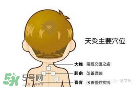 三伏灸灸哪里？三伏灸是每天都灸嗎