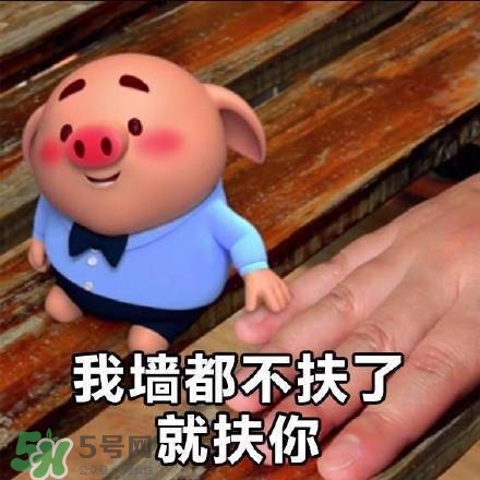 豬小屁表情包是什么？豬小屁表情包為什么這么火？