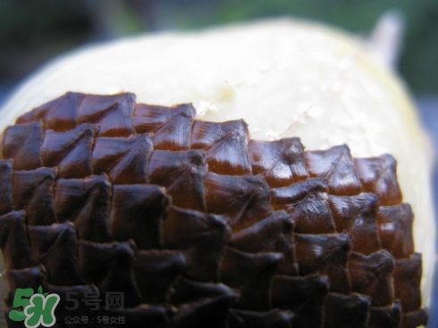 蛇皮果能生吃嗎？蛇皮果能放冰箱嗎？