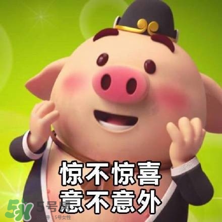 豬小屁表情包是什么？豬小屁表情包為什么這么火？