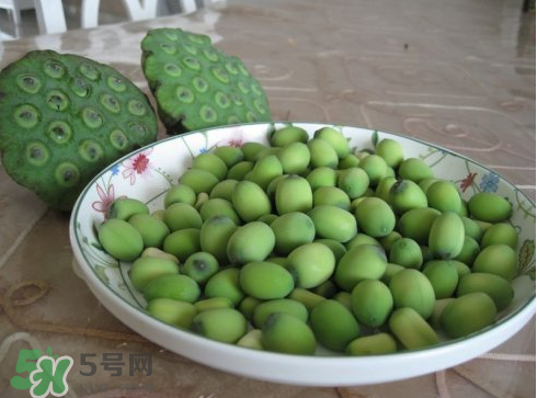 新鮮蓮子多少錢一斤？新鮮蓮子哪里有賣？