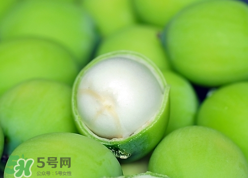 新鮮蓮子多少錢一斤？新鮮蓮子哪里有賣？