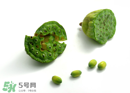 新鮮蓮子可以直接吃嗎？生蓮子可以直接吃嗎？