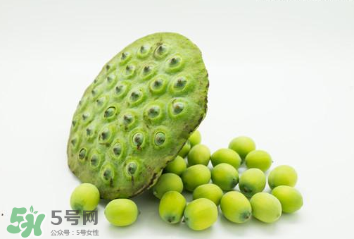 新鮮蓮子可以直接吃嗎？生蓮子可以直接吃嗎？