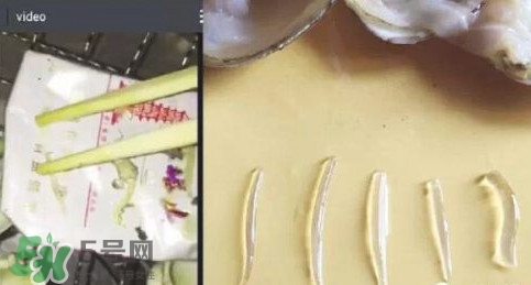 蜆子肉里白色長條東西是什么？蜆子肉里面透明的能吃嗎