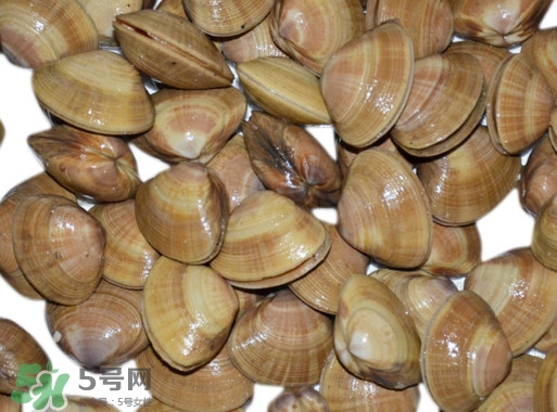 蜆子是花甲嗎？蜆子是海鮮嗎？