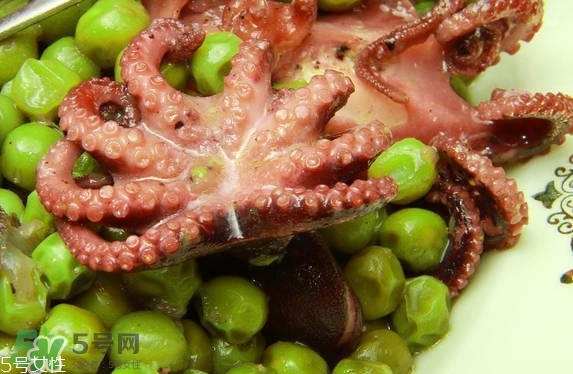 八爪魚多少錢一斤？章魚多少錢一斤
