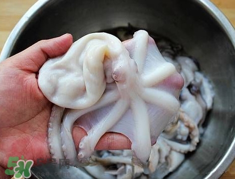 八帶魚怎么洗？八爪魚怎么處理干凈