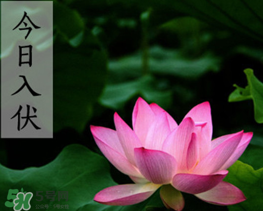 2017年頭伏是幾月幾號？2017年入伏第一天是幾月幾號？