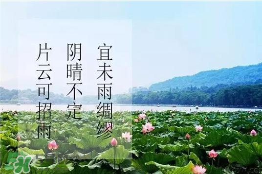 2017年幾月幾號入伏？入伏是幾月幾號2017？