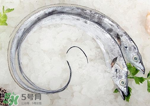帶魚(yú)是深海魚(yú)嗎？帶魚(yú)是海鮮嗎