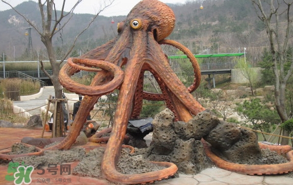 章魚是烏賊嗎？章魚與烏賊的區(qū)別