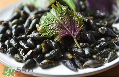 紫蘇是什么植物？紫蘇是發(fā)物嗎？