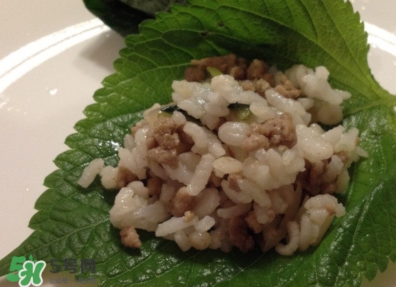 紫蘇和羅勒是一種東西嗎？紫蘇葉對(duì)人體有什么好處