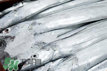 帶魚(yú)是深海魚(yú)嗎？帶魚(yú)是海鮮嗎