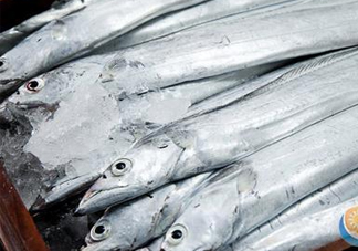 帶魚是深海魚嗎？帶魚是海鮮嗎