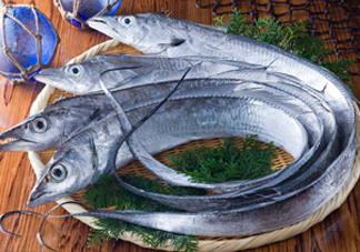 帶魚是咸的嗎？帶魚是無(wú)鱗魚嗎