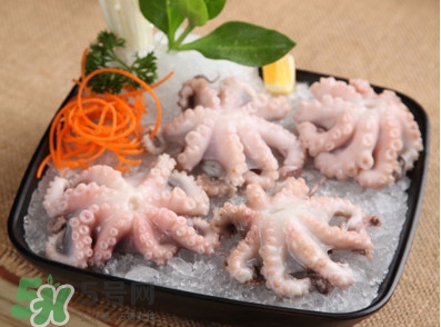 八爪魚可以生吃嗎？八爪魚生吃有寄生蟲嗎