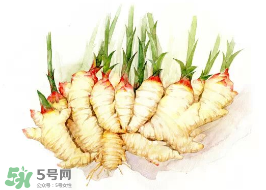 7月份可以種生姜嗎？生姜幾月份種植？