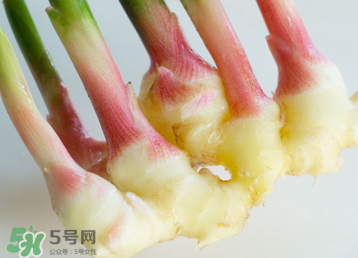 7月份可以種生姜嗎？生姜幾月份種植？
