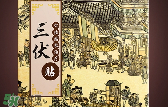 貼三伏貼可以游泳嗎？貼三伏貼游泳有什么壞處？
