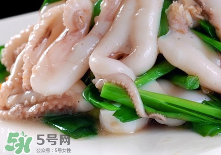 八爪魚是魷魚嗎？八爪魚是章魚嗎