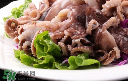 八爪魚是魷魚嗎？八爪魚是章魚嗎