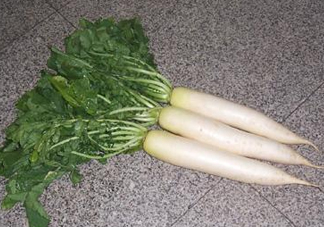 頭伏蘿卜二伏菜是什么意思？頭伏種什么菜？