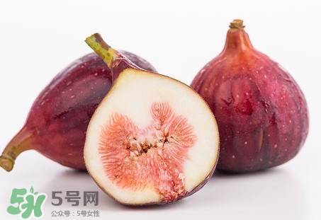 無花果喜陽還是喜陰植物？無花果吃多會怎么樣
