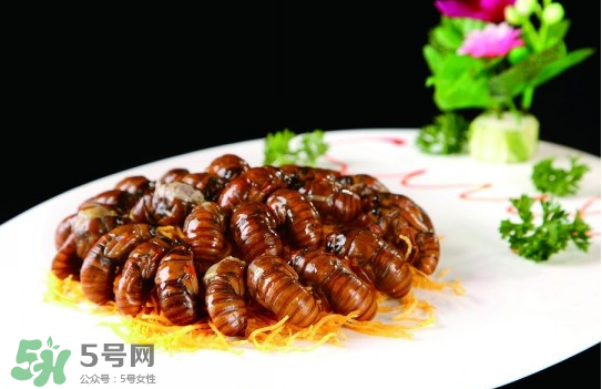 知了猴孕婦可以吃嗎？孕婦能吃知了猴嗎？