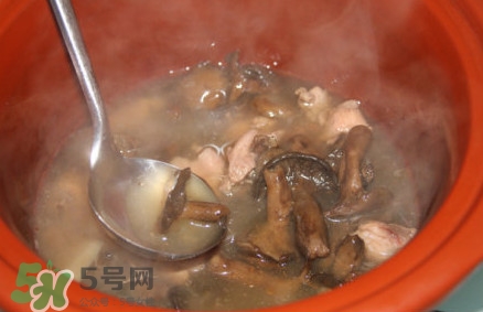 重陽菌孕婦可以吃嗎？重陽菌怎樣保存才新鮮
