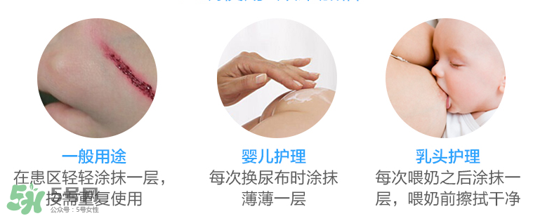 拜耳護臀膏有激素嗎？拜耳護臀膏含不含激素？