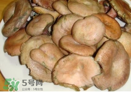 樅樹菌孕婦可以吃嗎？孕婦能吃樅樹菌嗎