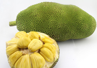 木菠蘿買來怎么吃？木菠蘿吃多了會怎樣？