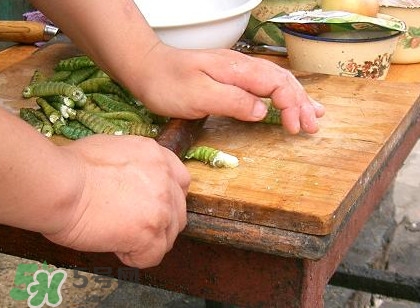 豆丹做菜前怎么處理干凈？豆丹怎么養(yǎng)殖