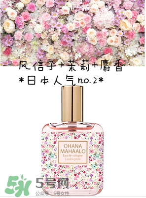 ohana mahaalo香水是什么牌子？ohana mahaalo在哪買？