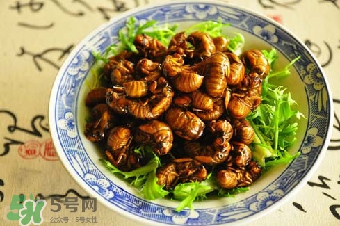金蟬多少錢(qián)一斤？金蟬多少錢(qián)一斤2017？