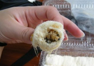 龍須糖是哪里的特產？龍須糖為什么叫龍須糖